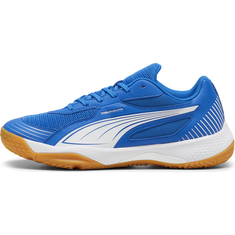 PUMA Solarflash III Indoor Sports Shoes