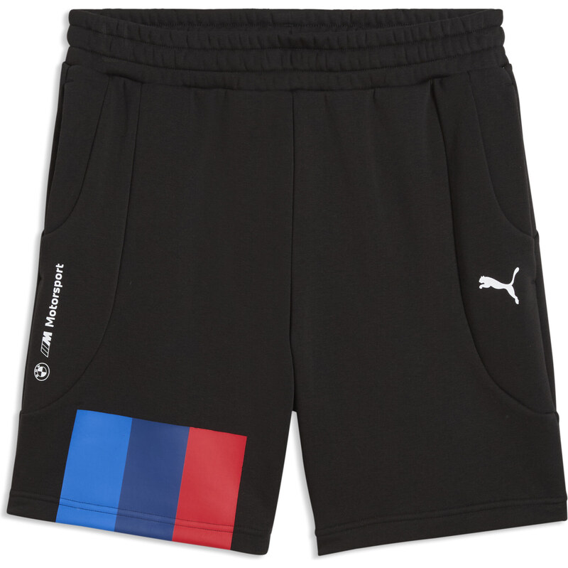 BMW M MOTORSPORT PUMATECH-X Shorts Men 113069669