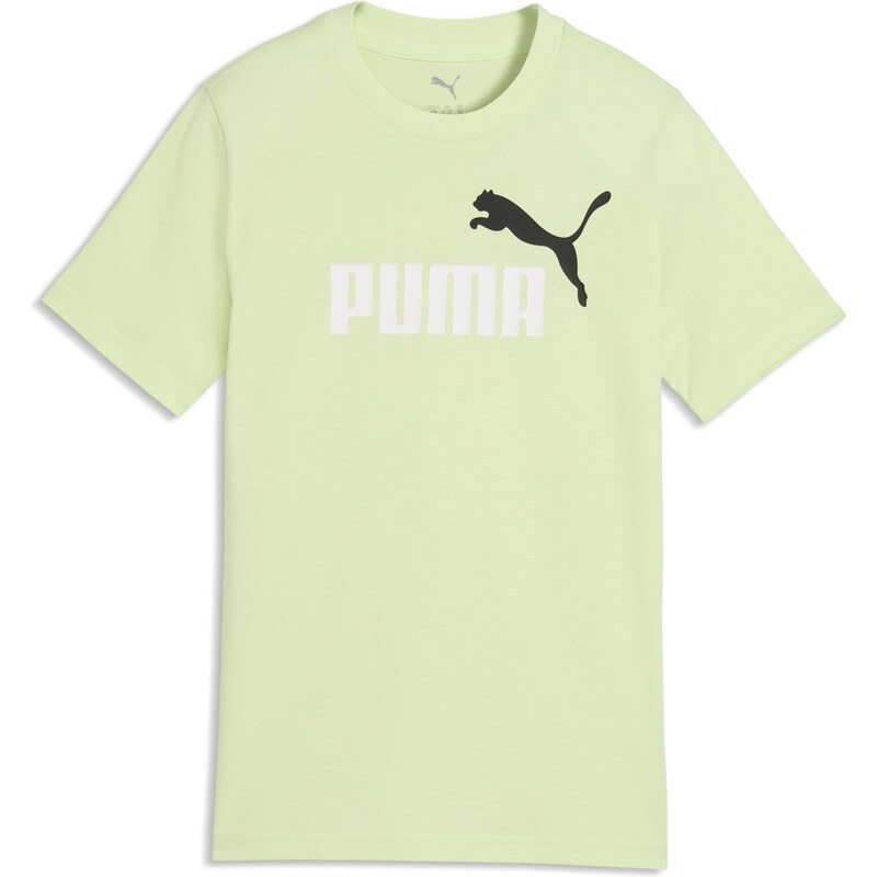 PUMA Essentials Colour No.1 Logo Tee Youth