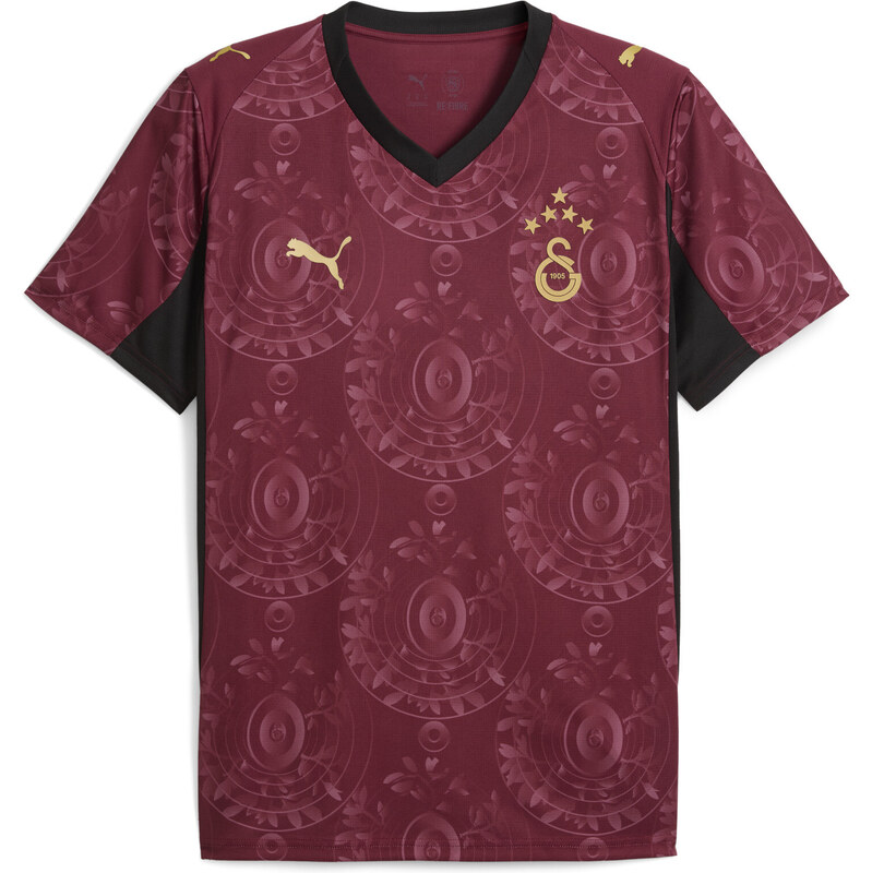 PUMA Galatasaray SK 25/26 Third Jersey Men
