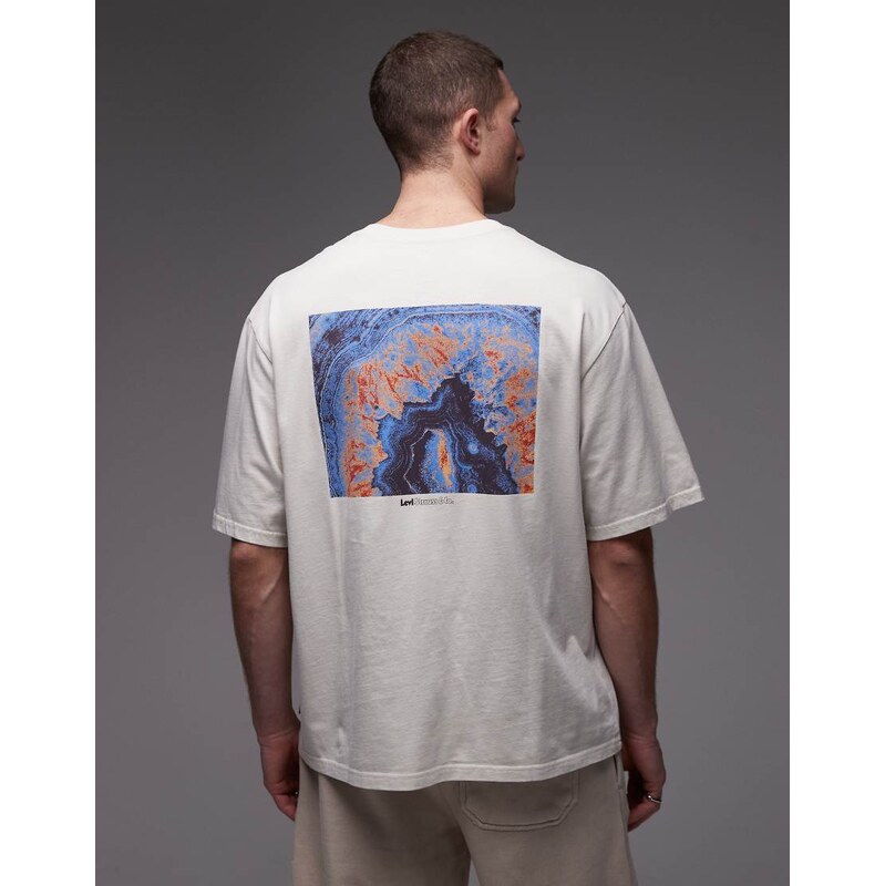 Levis artwork back print graphic t-shirt in white