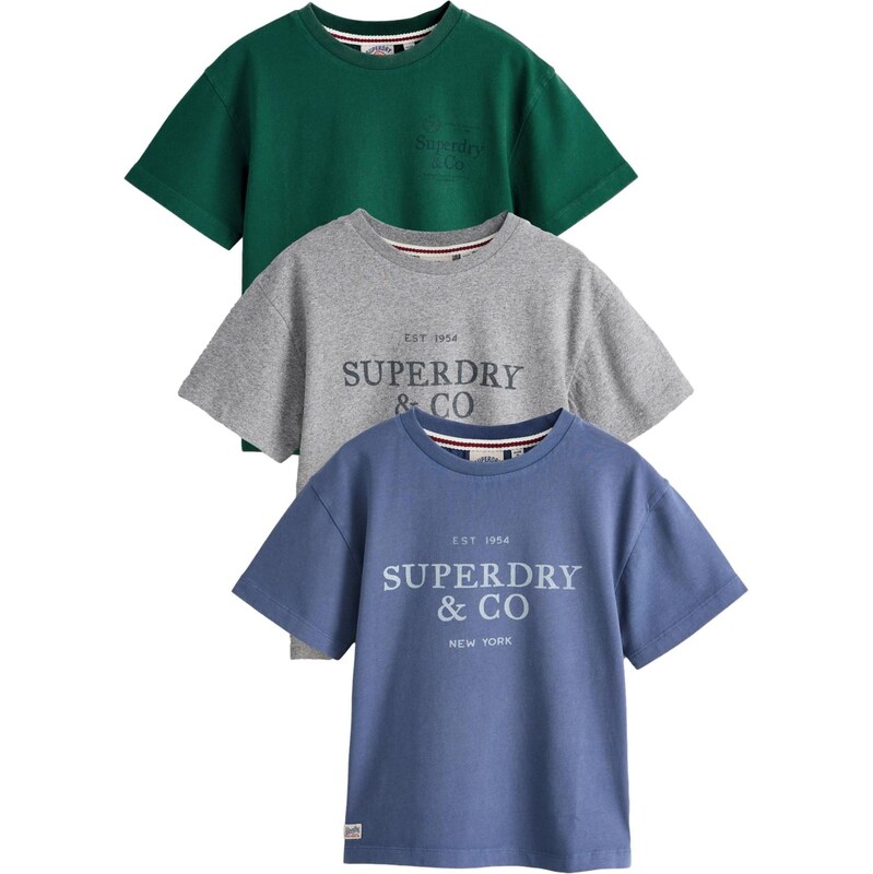 Superdry & Co Tričko modrá / šedá / tmavě zelená