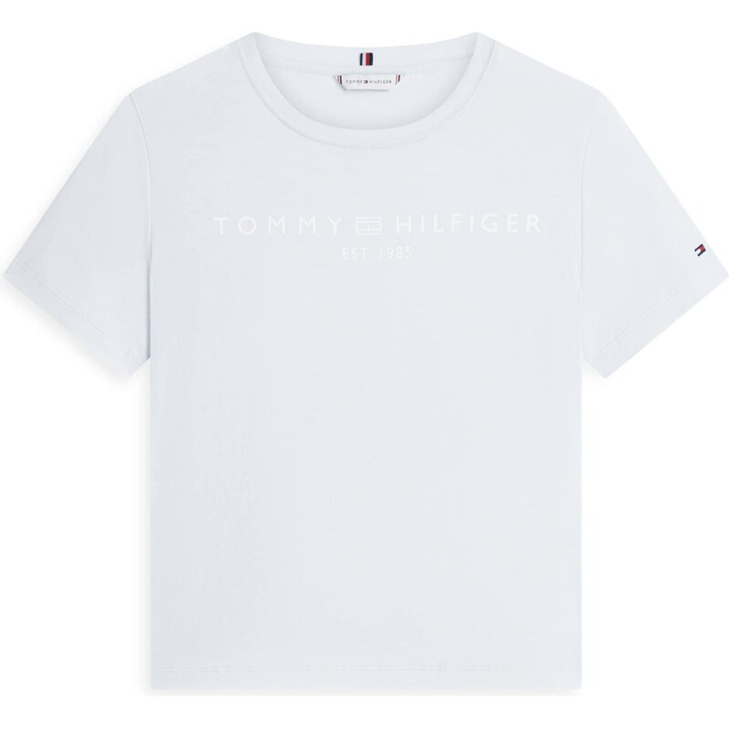 TOMMY HILFIGER Tričko světlemodrá / bílá