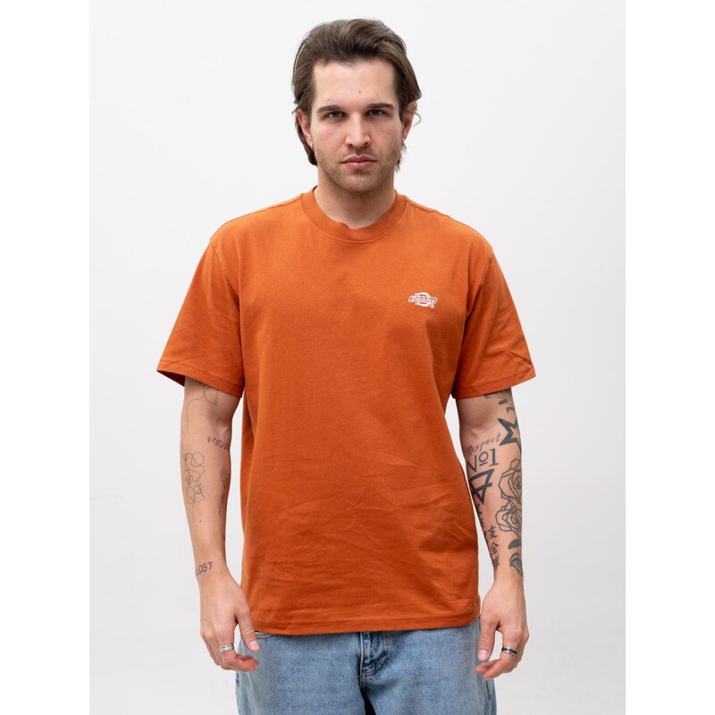 Pánské tričko s krátkým rukávem, hnědé, Dickies Summerdale