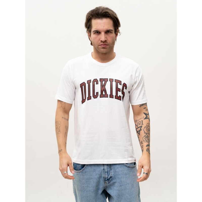 Pánské tričko s krátkým rukávem Dickies Aitkin, bílé