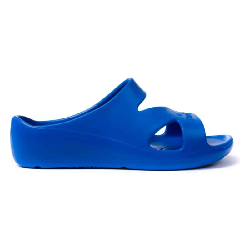 Peter Legwood Dolphin Azzurro