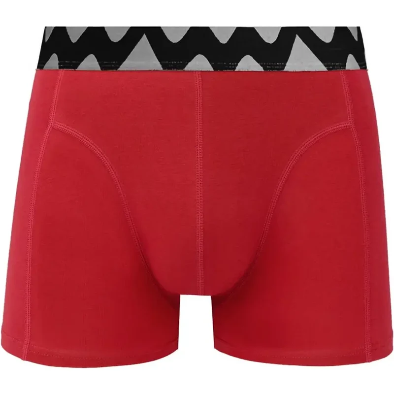 Pánské boxerky Vuch Evans