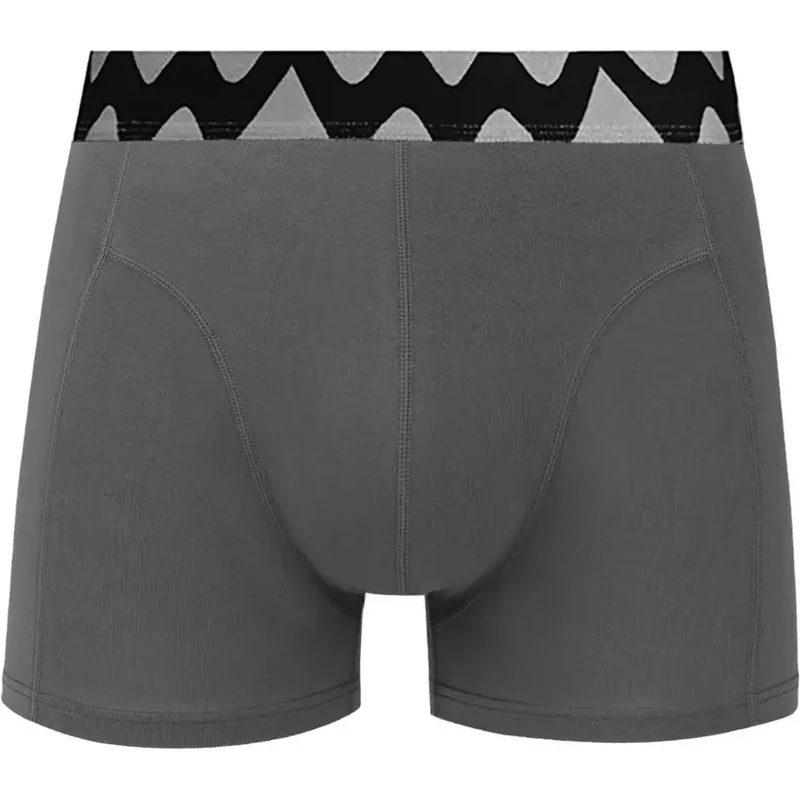 Pánské boxerky Vuch Evans