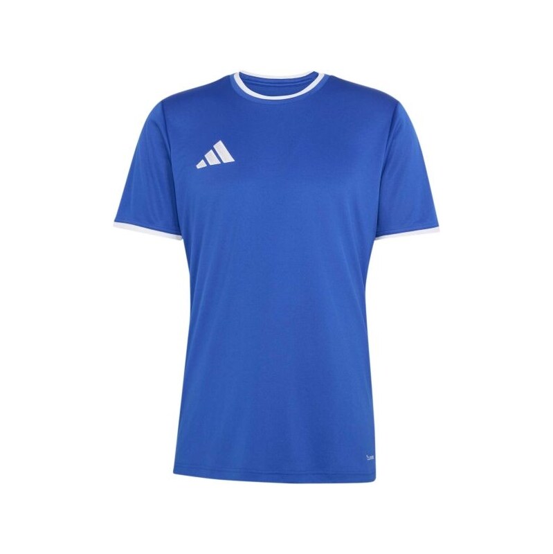 adidas ENTRADA 26 JERSEY Pánské sportovní triko