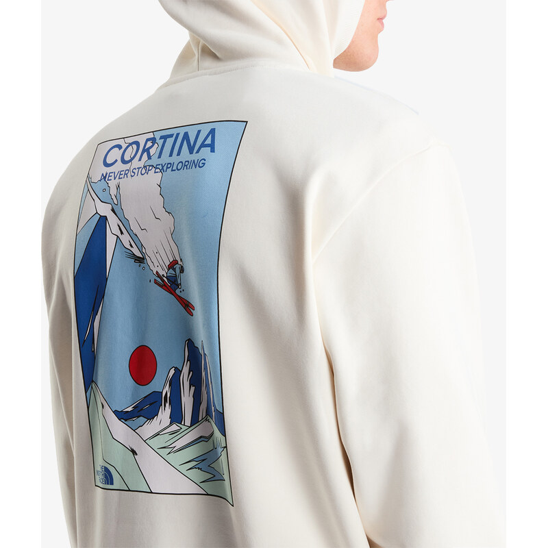 The North Face U MOUNTAIN CELEBRATI RELAXED HOODIE-GR S