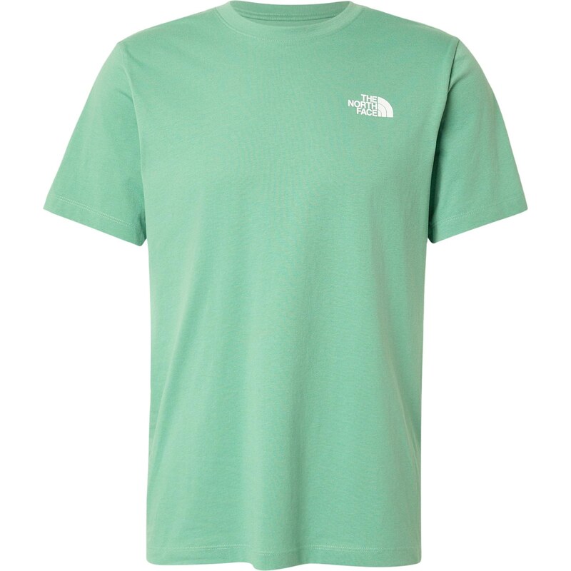 THE NORTH FACE Tričko EVOLUTION BOX NSE zelená / černá / bílá
