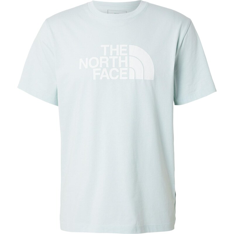 THE NORTH FACE Tričko EVOLUTION HALF DOME opálová / bílá