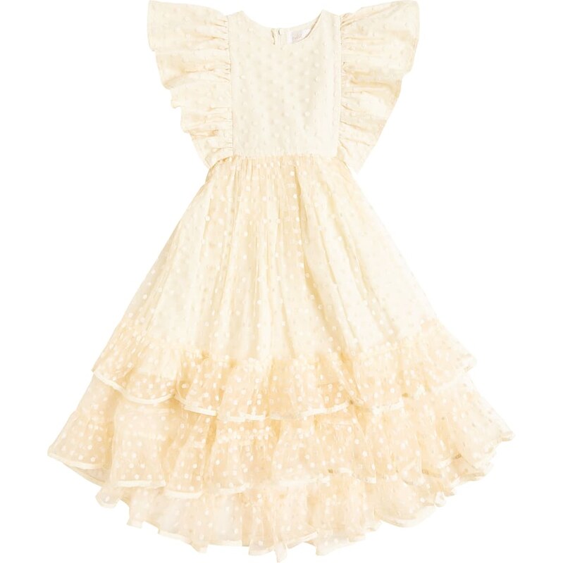 Petite Amalie Embroidered ruffled tulle dress