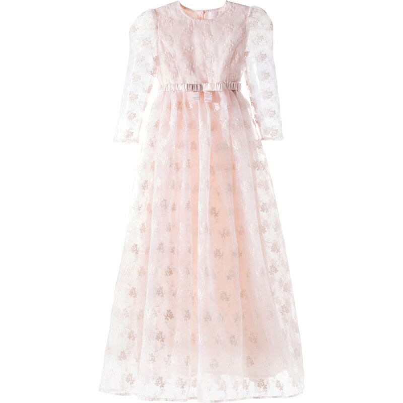 Petite Amalie Floral embroidered organza dress
