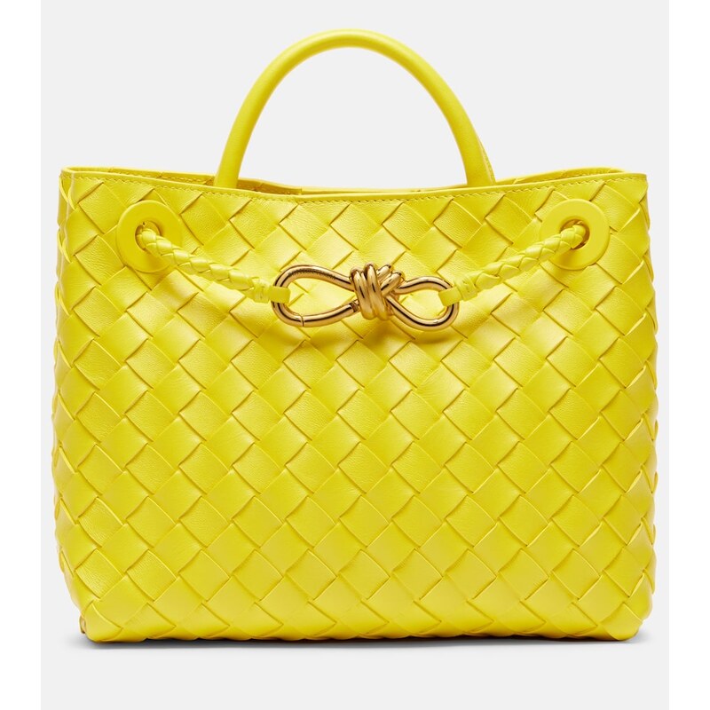 Bottega Veneta Andiamo Small leather tote bag