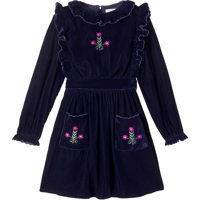The New Society Abril embroidered velvet dress