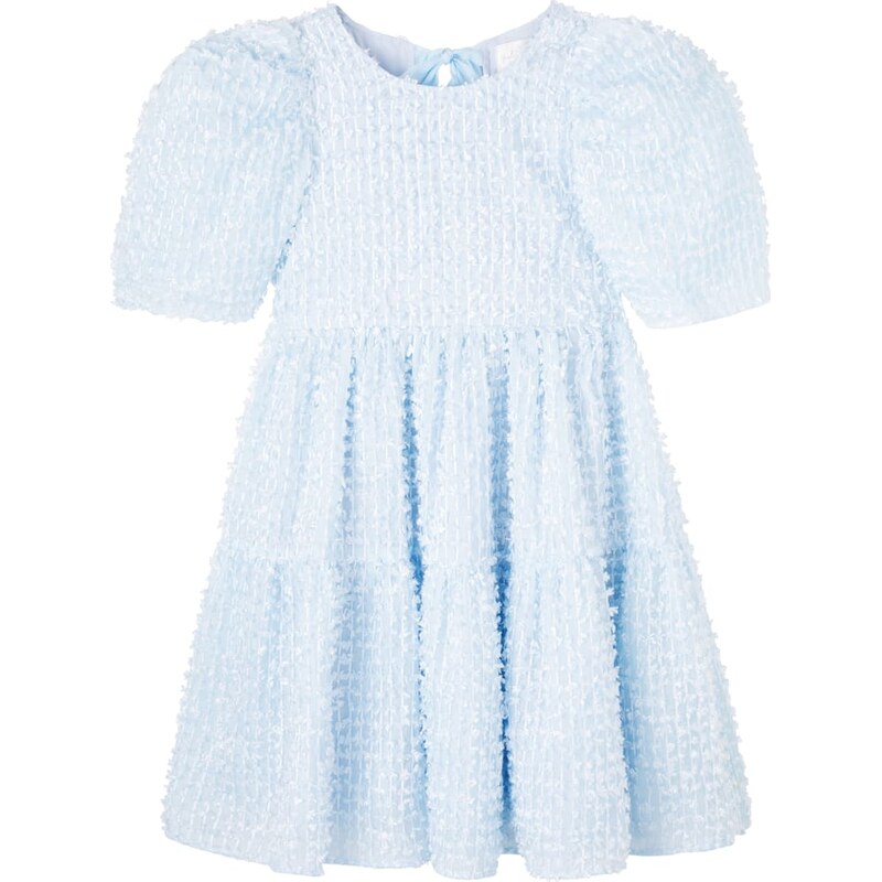 Petite Amalie Embroidered dress
