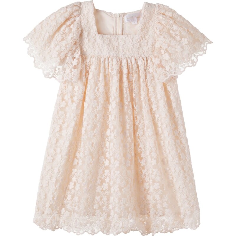 Petite Amalie Embroidered floral tulle dress