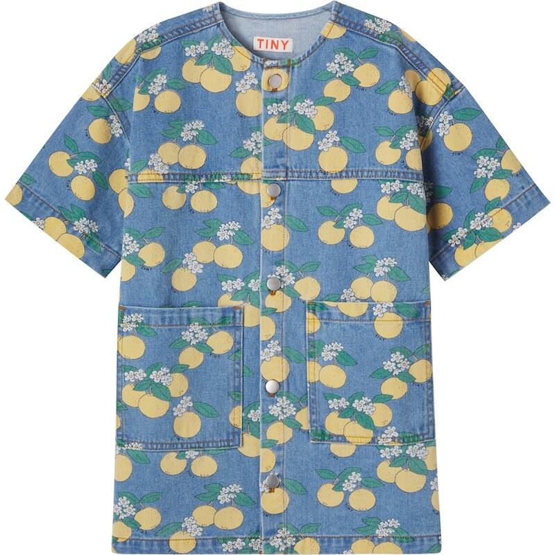 Tinycottons Oranges denim shirt dress