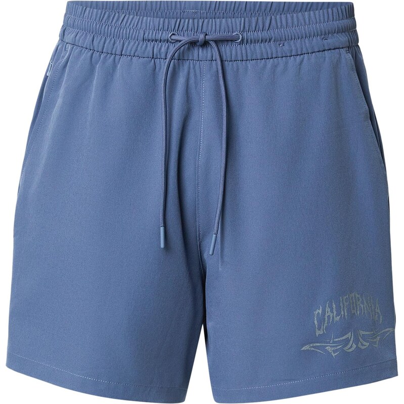 HOLLISTER Kalhoty šedá / fialkově modrá