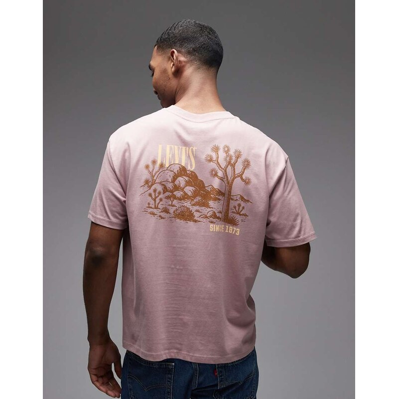 Levis back graphic boxy oversized t-shirt in washed red