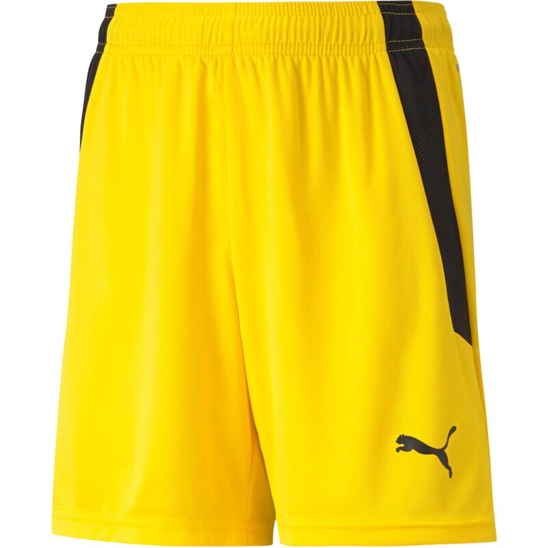 PUMA Sportovní kalhoty TeamLiga žlutá / černá