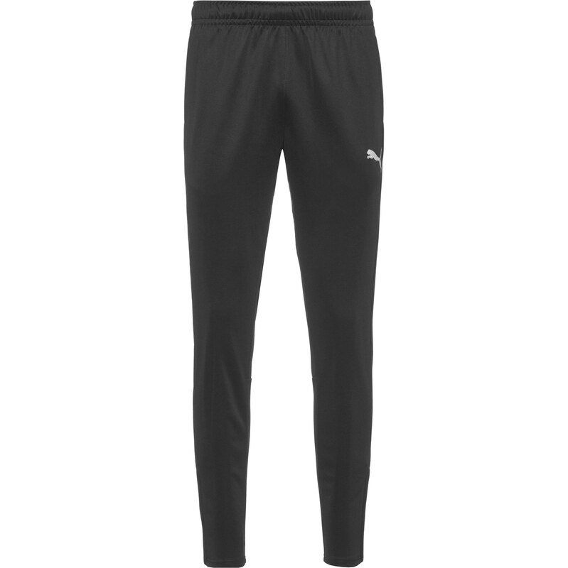 PUMA Sportovní kalhoty Team Goal šedá / černá