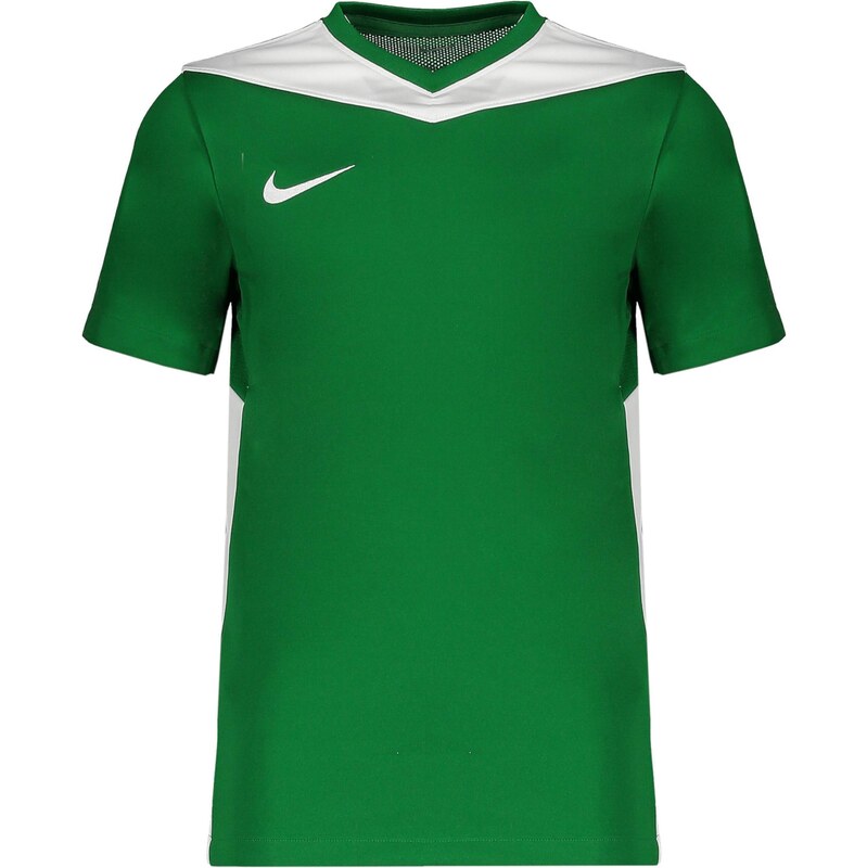NIKE Funkční tričko zelená / bílá