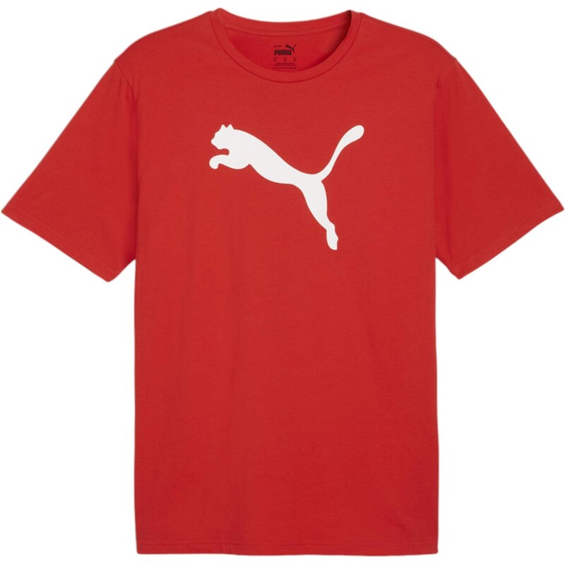 PUMA Funkční tričko TeamRISE červená / bílá