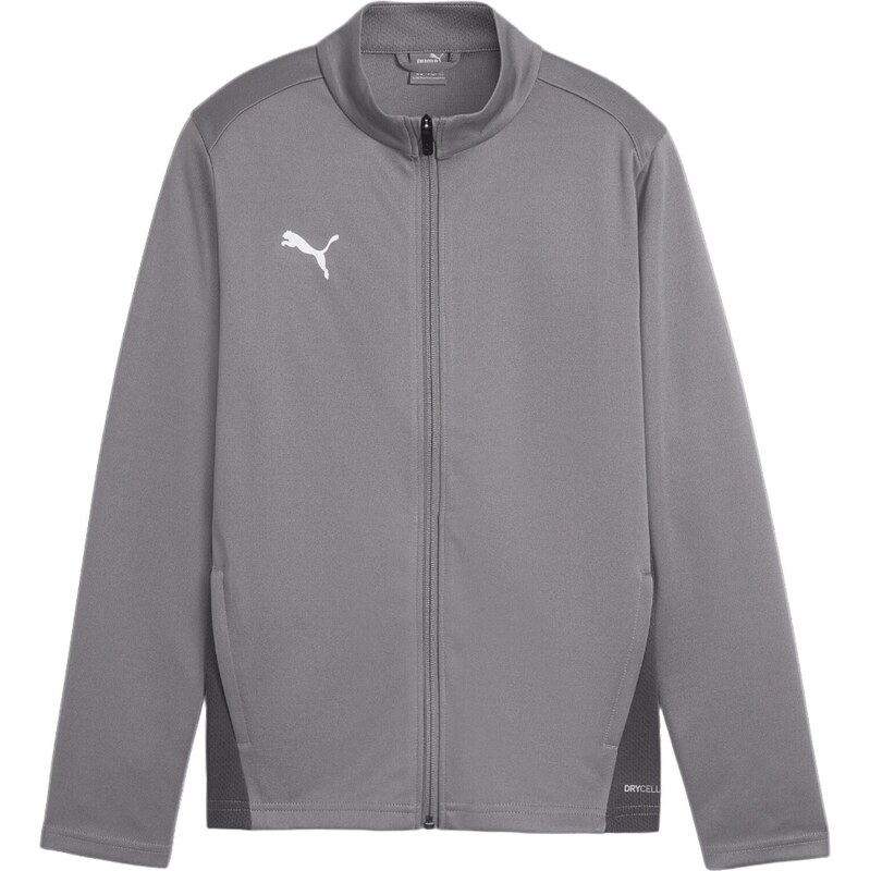 PUMA Sportovní bunda TeamGoal šedá / tmavě šedá / bílá