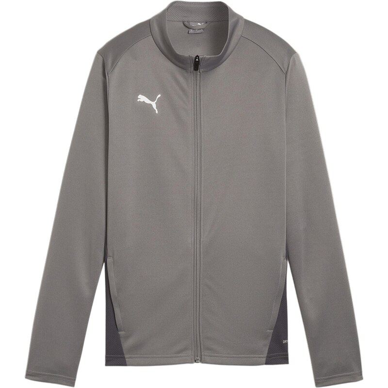 PUMA Sportovní bunda TeamGoal šedá / světle šedá