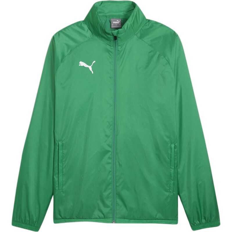 PUMA Sportovní bunda TeamGoal zelená / bílá