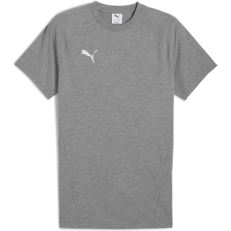 PUMA Funkční tričko TeamEvostripe šedá / bílá