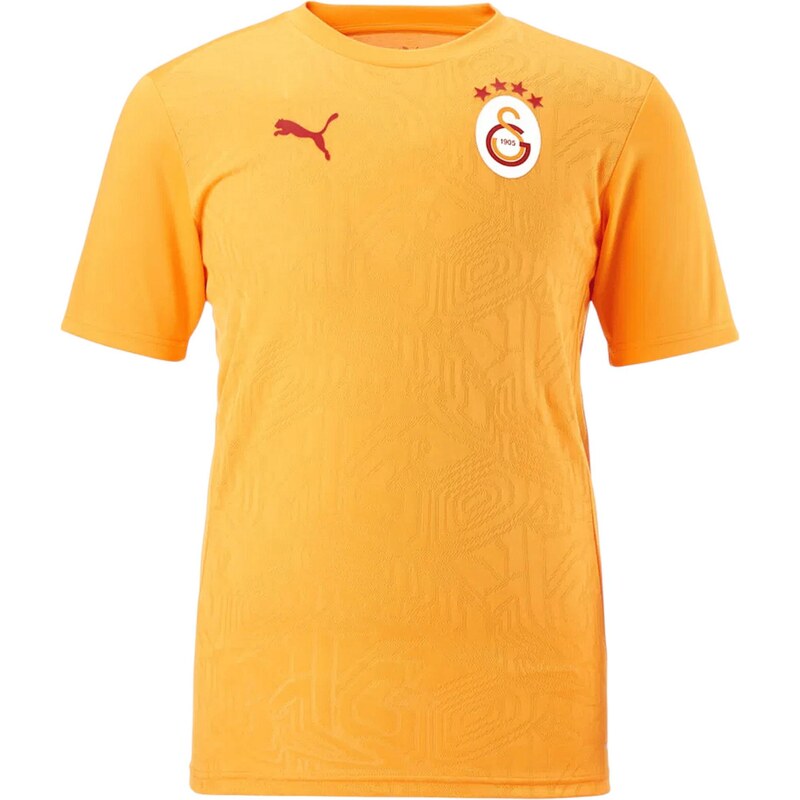 PUMA Trikot Galatasaray Istanbul šafrán / červená / bílá