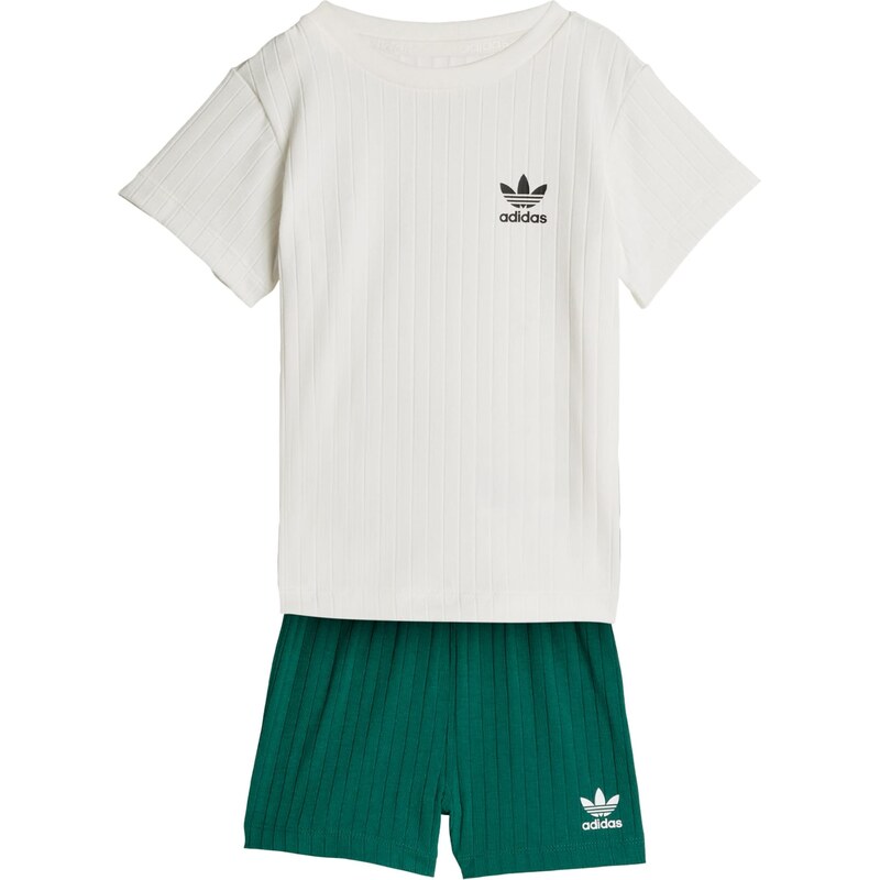 ADIDAS ORIGINALS Sada REGULAR WIDE RIB SHORT T-SHIRT zelená /
