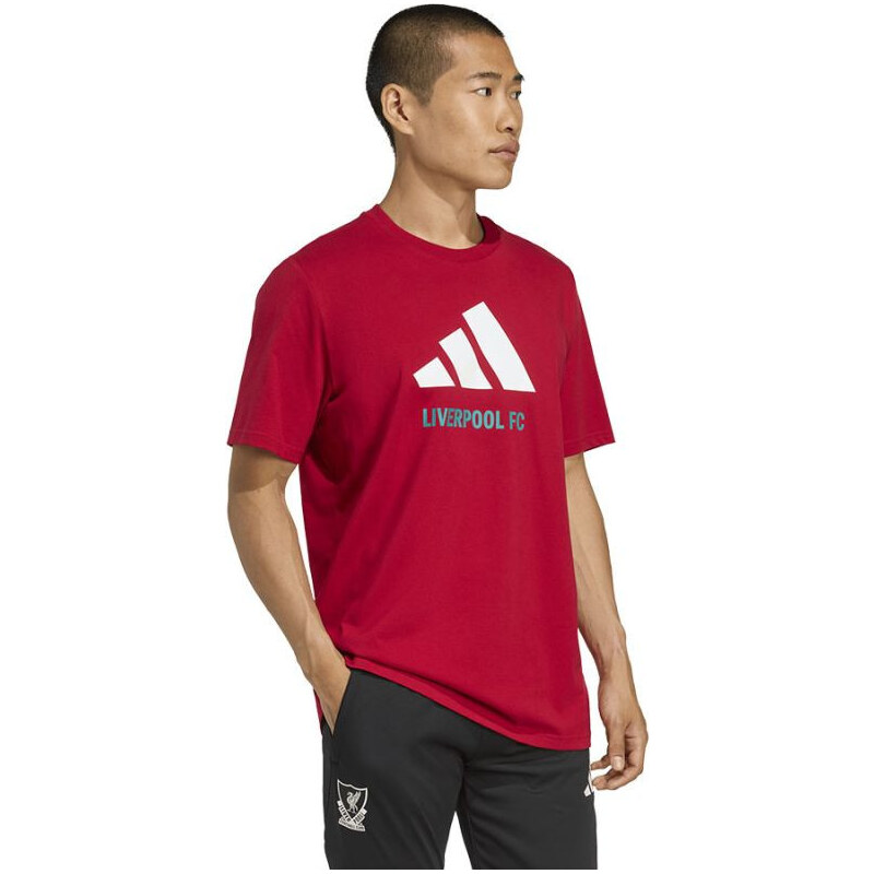Liverpool FC tričko DNA Graphic Tee 2 model 21882547 - ADIDAS