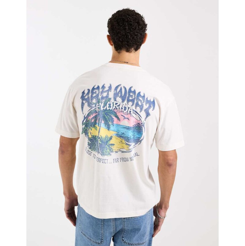 Hollister destination back graphic boxy oversized t-shirt in