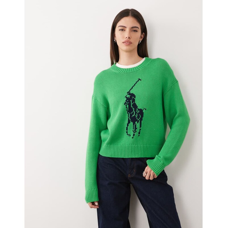 Polo Ralph Lauren large icon logo cotton knit jumper in palm