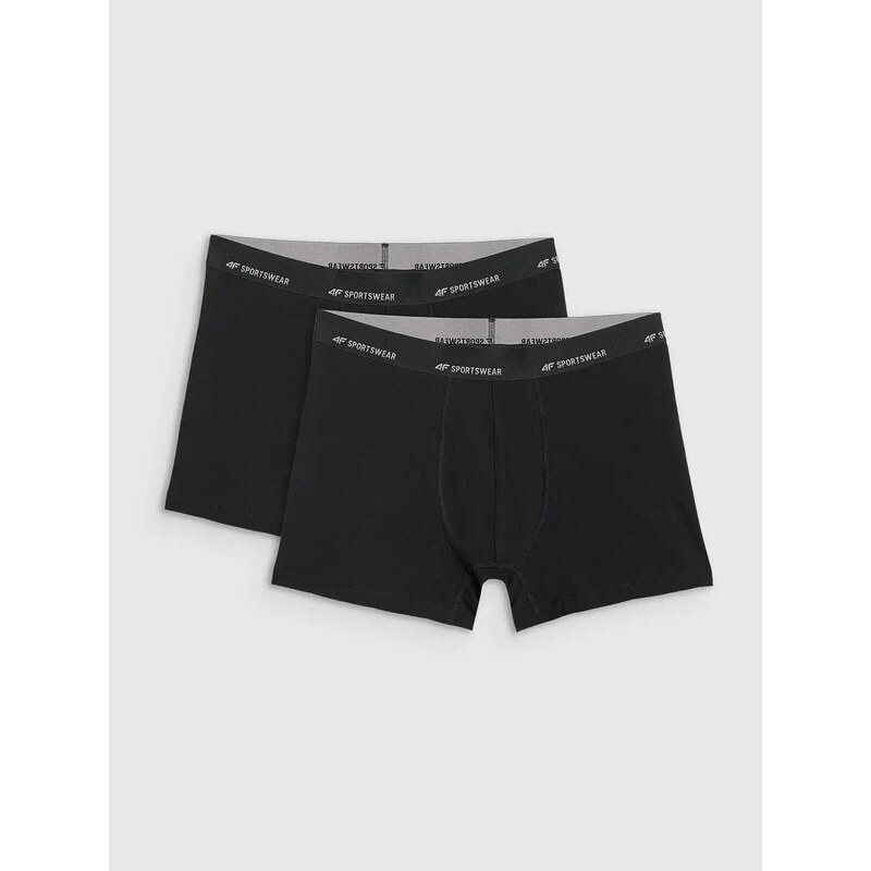 Pánské boxerky 4F Falcon (2pack)