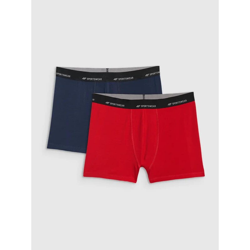 Pánské boxerky 4F Falcon (2pack)