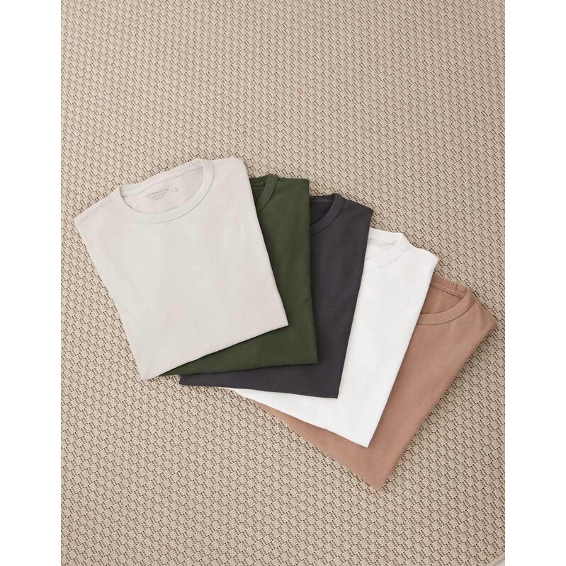 Abercrombie & Fitch 5 pack everyday essential t-shirts in brown/black 113734754