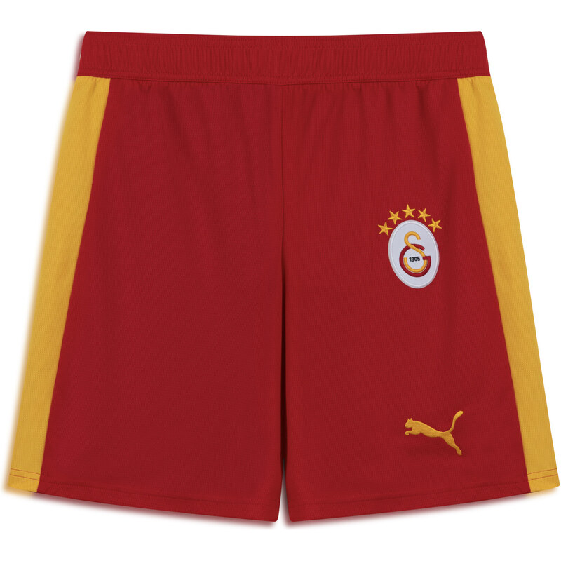 PUMA Galatasaray SK T7 Shorts Men