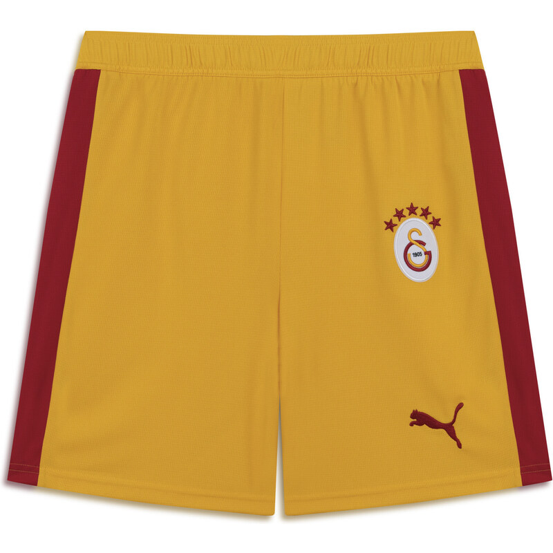 PUMA Galatasaray SK T7 Shorts Men