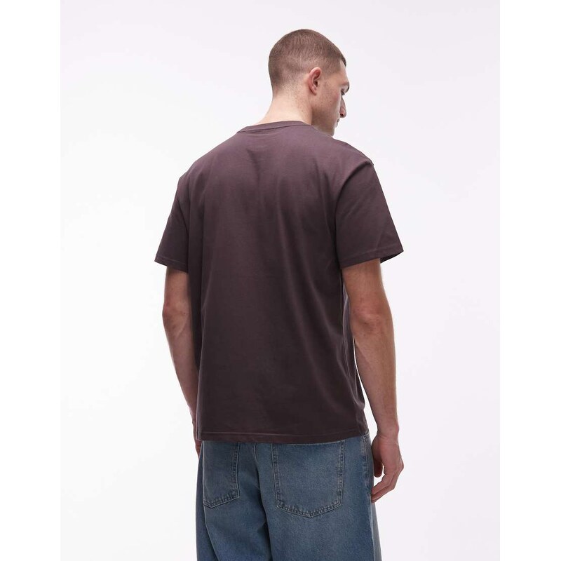 Carhartt WIP american script t-shirt in brown