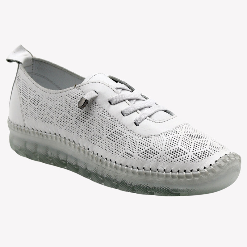 Quo Vadis 248 241 - B1 Klop 36