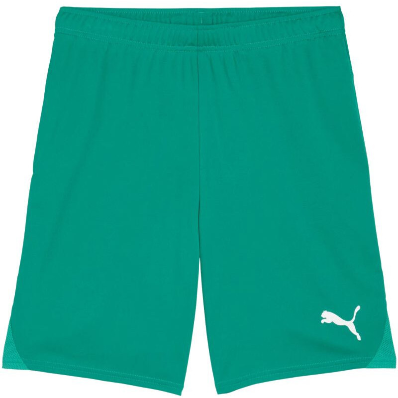 Pánské šortky Puma Team Goal zelené 705752 05