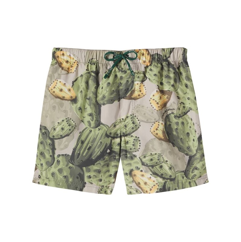 Dolce&Gabbana Kids Printed swim trunks