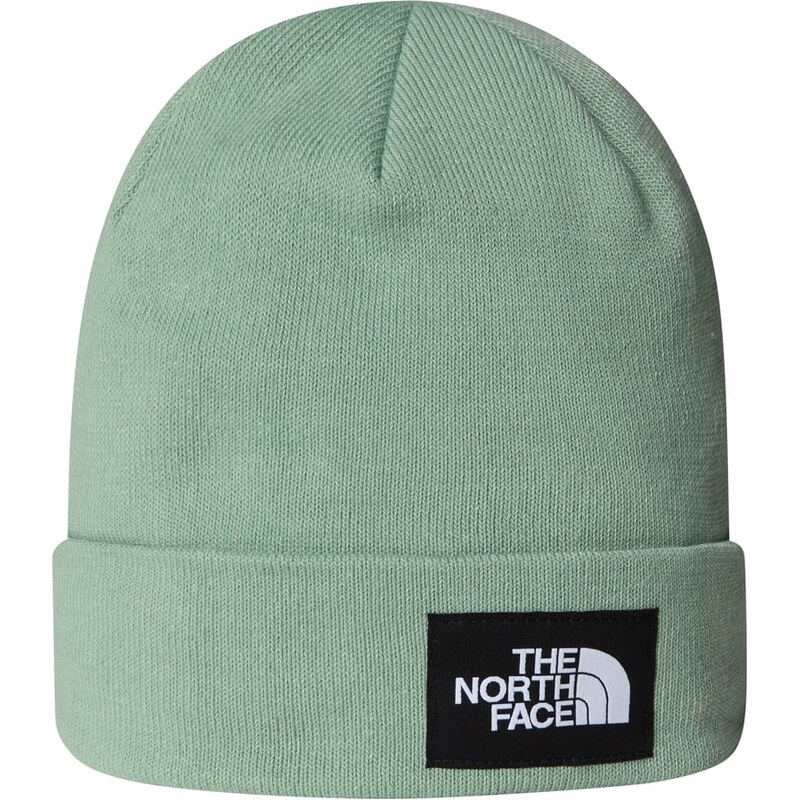 Pánské Zimní čepice THE NORTH FACE DOCK WORKER RECYCLED BEANIE NF0A3FNTBQ11 – Zelená