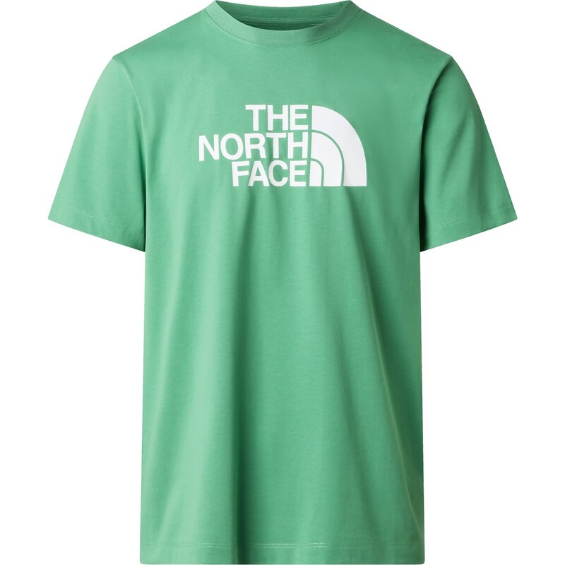 Tričko The North Face Dimmed Algae 4039294