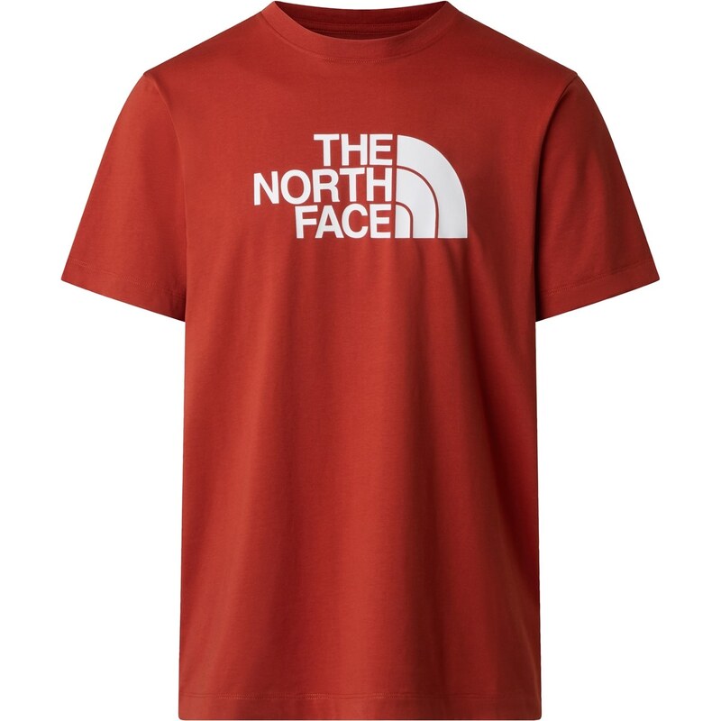 Tričko The North Face Iron Clay 504788
